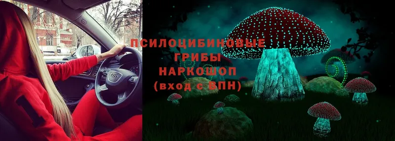 Галлюциногенные грибы Magic Shrooms  KRAKEN ССЫЛКА  Полтавская  сколько стоит 